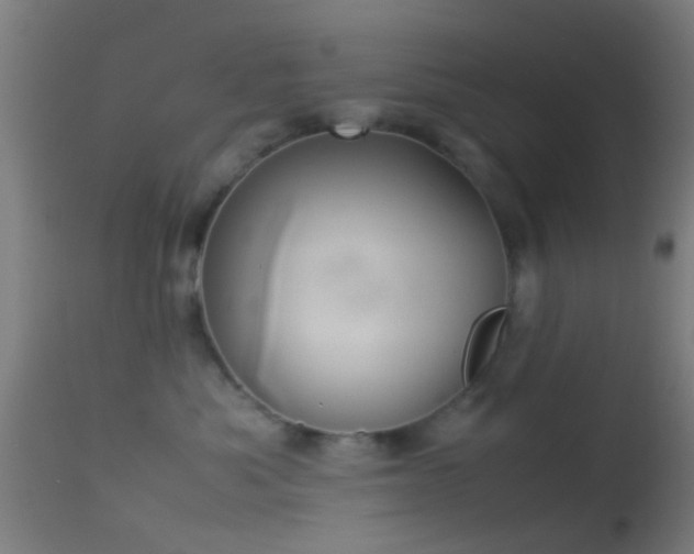 X0000114170525200910151640