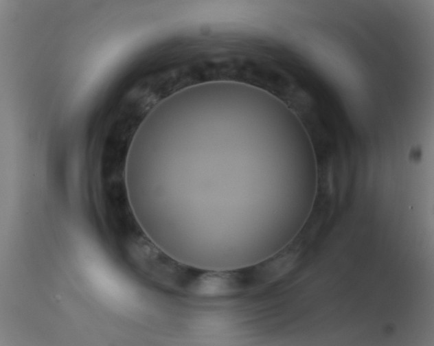 X0000114170526200910151640