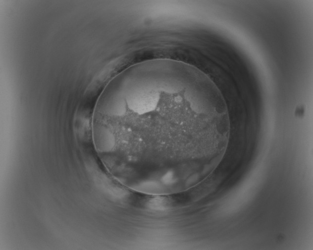 X0000114170527200910151640