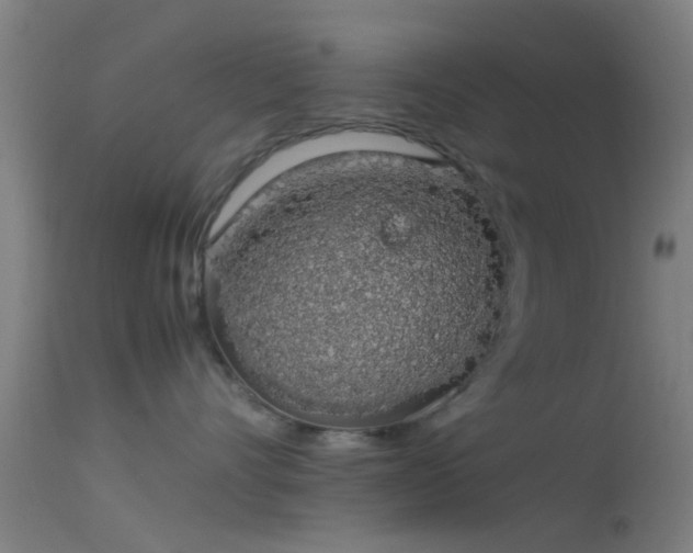 X0000114170528200910151640