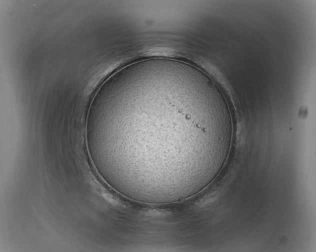 X0000114170529200910151639