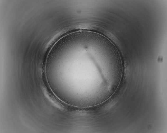 X0000114170530200910151639