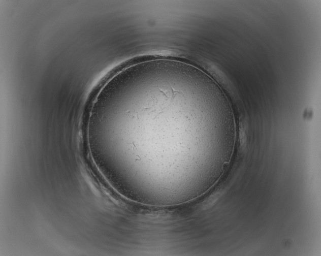 X0000114170532200910151639