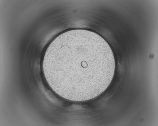 X0000114170534200910151639