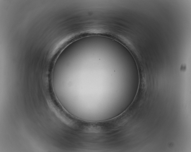 X0000114170535200910151639