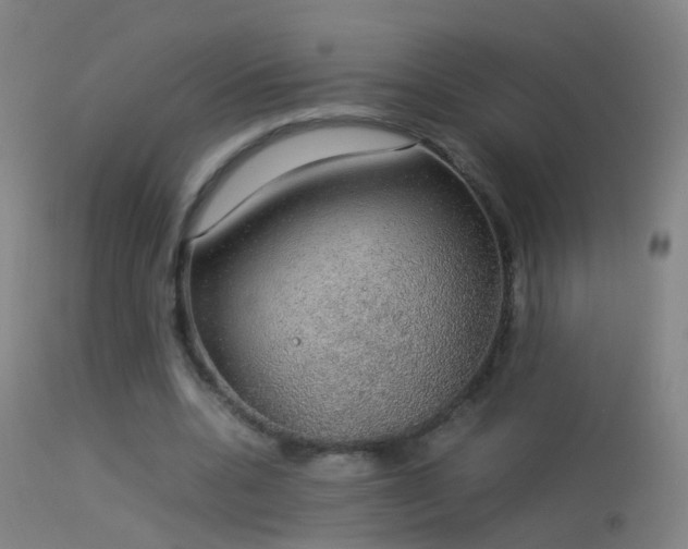 X0000114170536200910151639