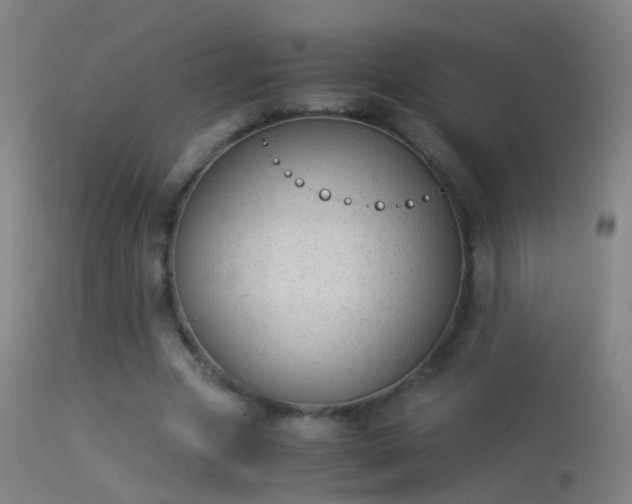 X0000114170537200910151639