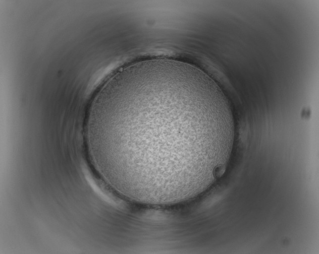 X0000114170538200910151639