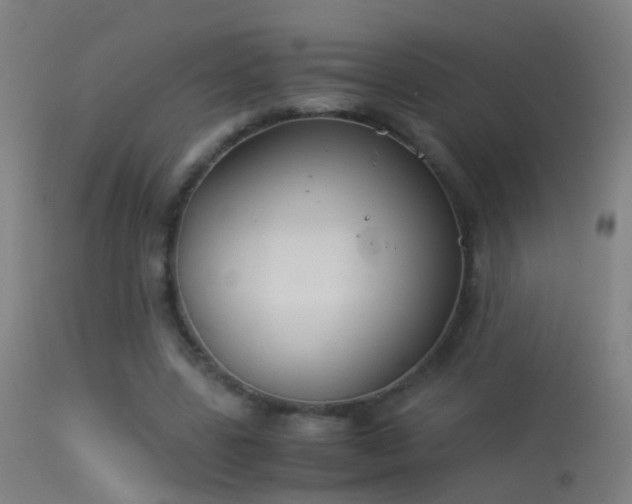 X0000114170539200910151639