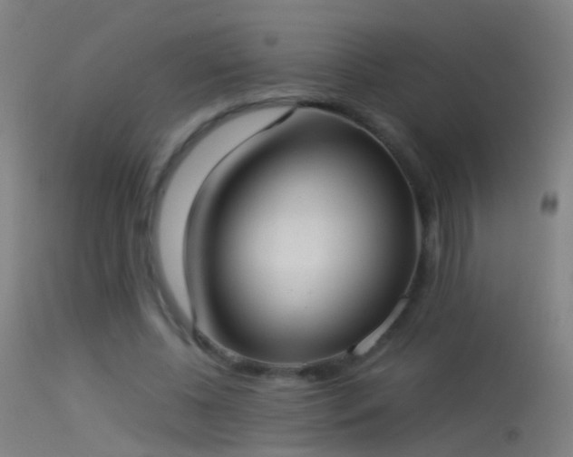 X0000114170540200910151639