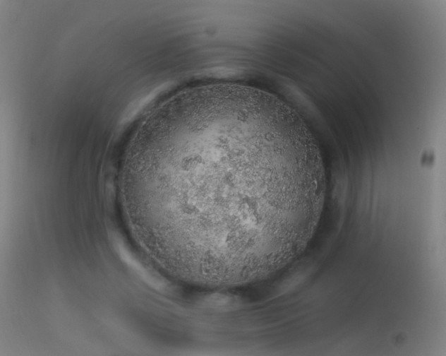 X0000114170542200910151639