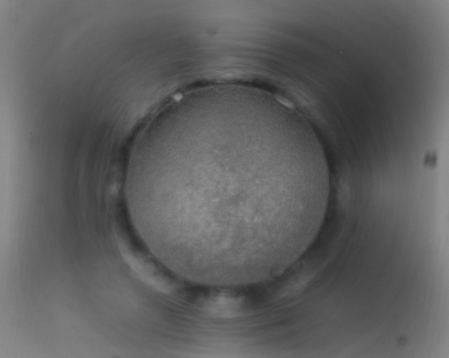 X0000114170546200910151639