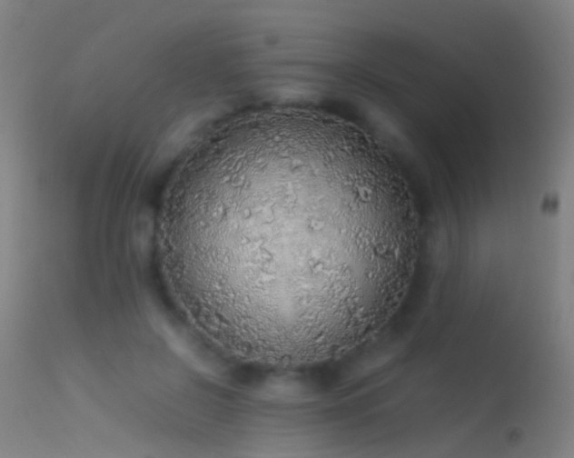 X0000114170550200910151639