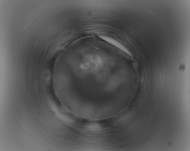 X0000114170551200910151639