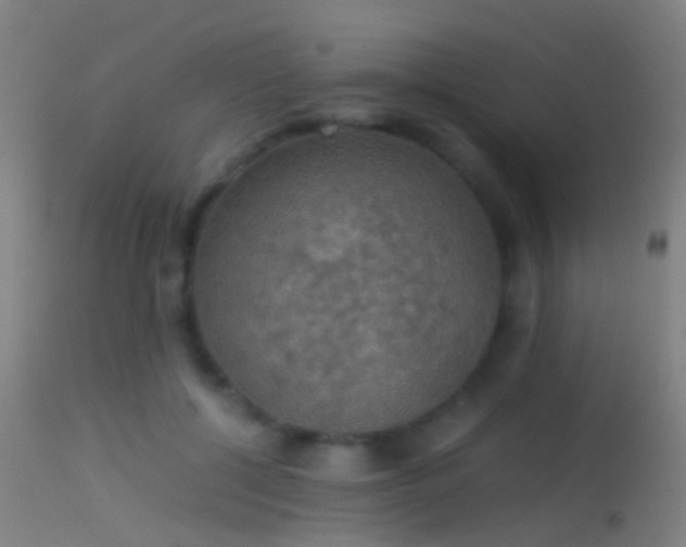 X0000114170552200910151639