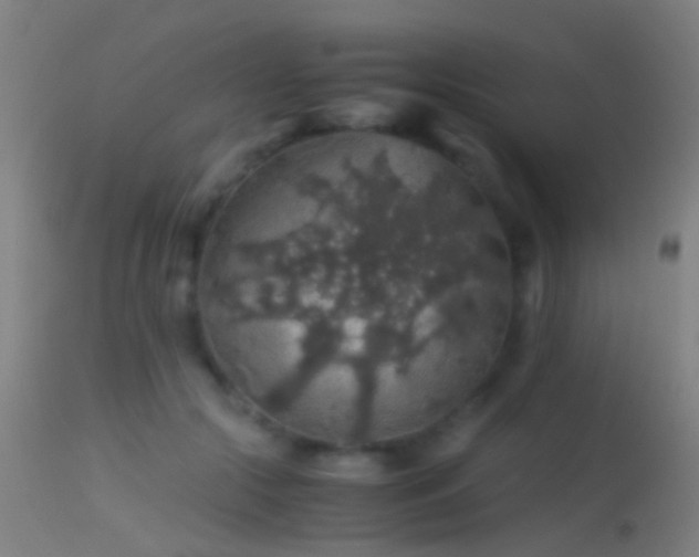 X0000114170553200910151639