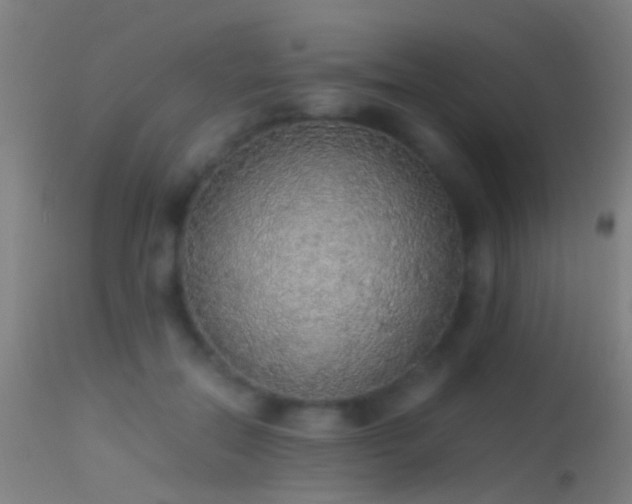 X0000114170554200910151639