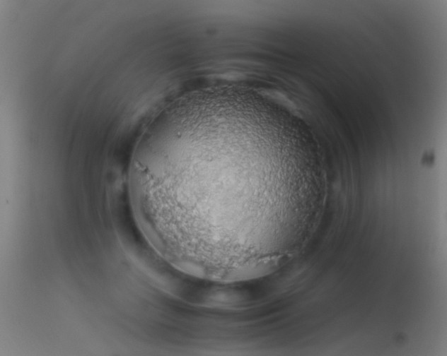 X0000114170555200910151639