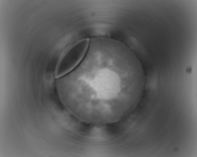 X0000114170560200910151640