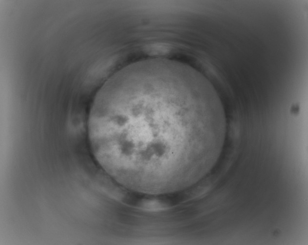 X0000114170561200910151640