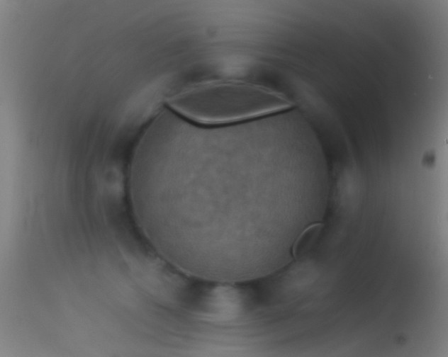 X0000114170562200910151640