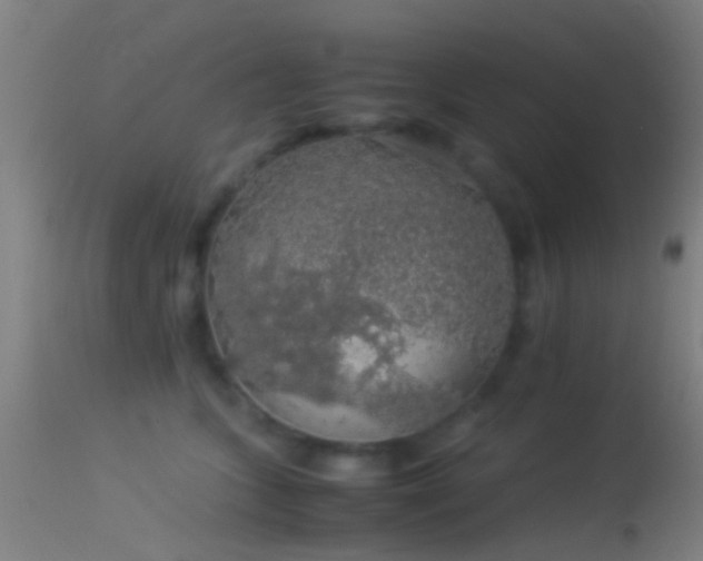 X0000114170563200910151640