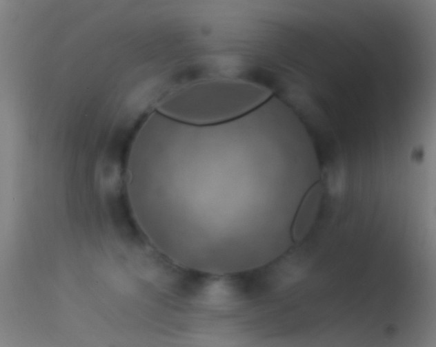 X0000114170564200910151640