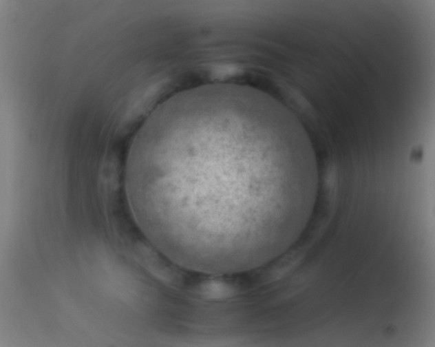 X0000114170565200910151640