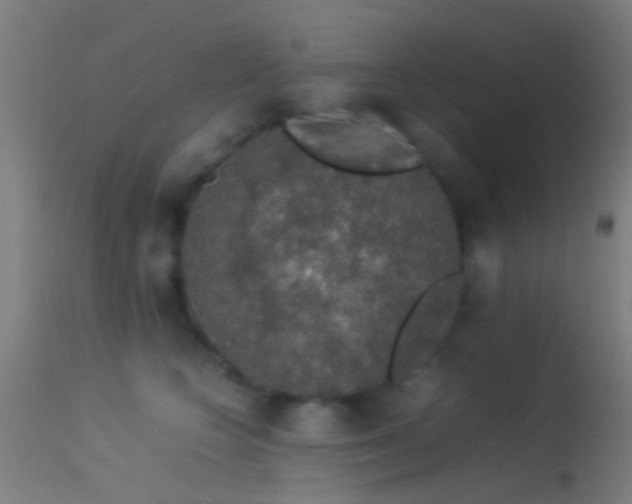 X0000114170566200910151640