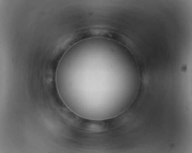 X0000114170567200910151640