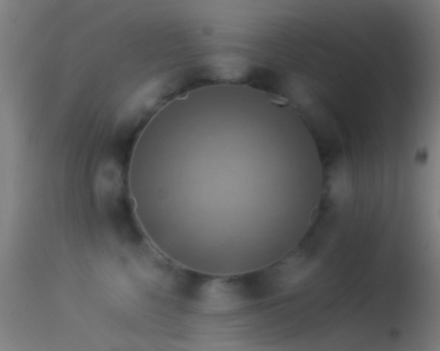 X0000114170568200910151640