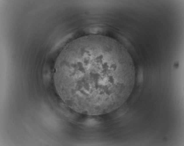 X0000114170569200910151640