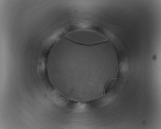 X0000114170570200910151640