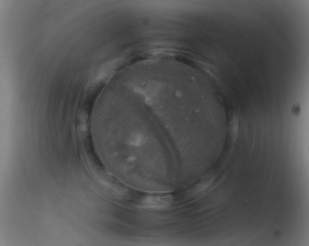 X0000114170571200910151640