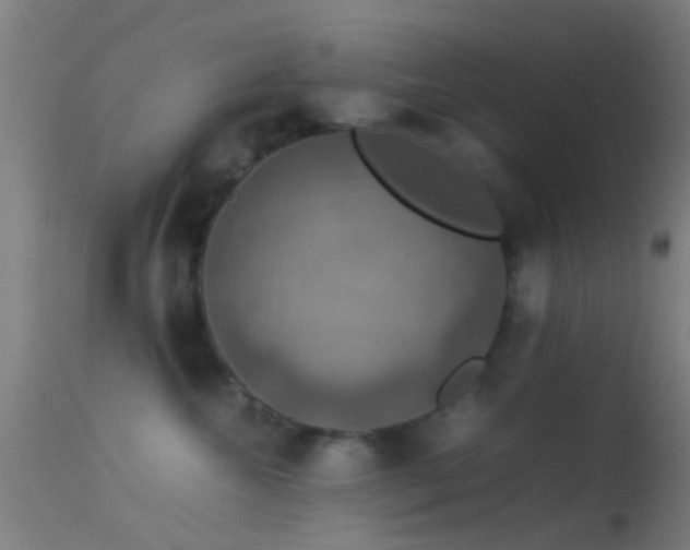 X0000114170572200910151640