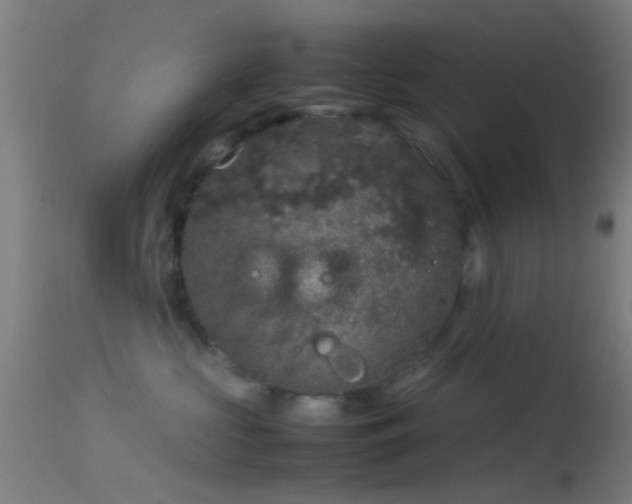 X0000114170573200910151640