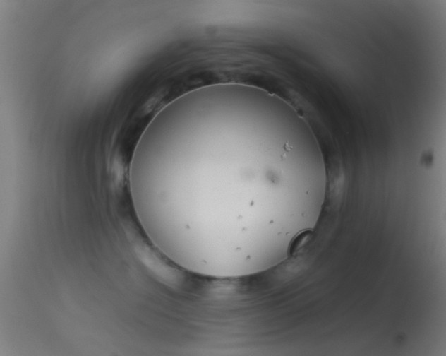 X0000114170574200910151640