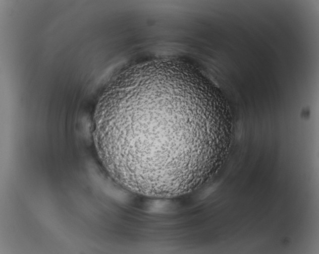 X0000114170575200910151640