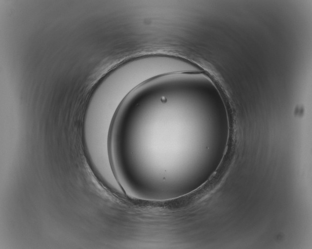 X0000114170577200910151639