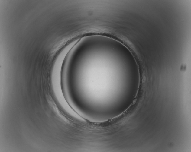 X0000114170581200910151639