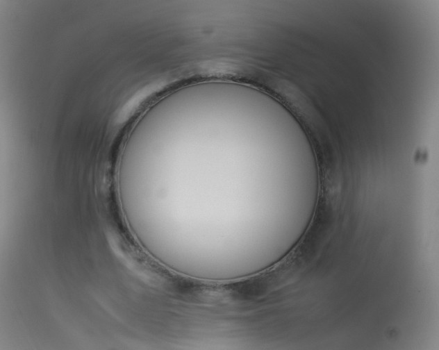 X0000114170583200910151639