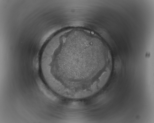 X0000114170584200910151639