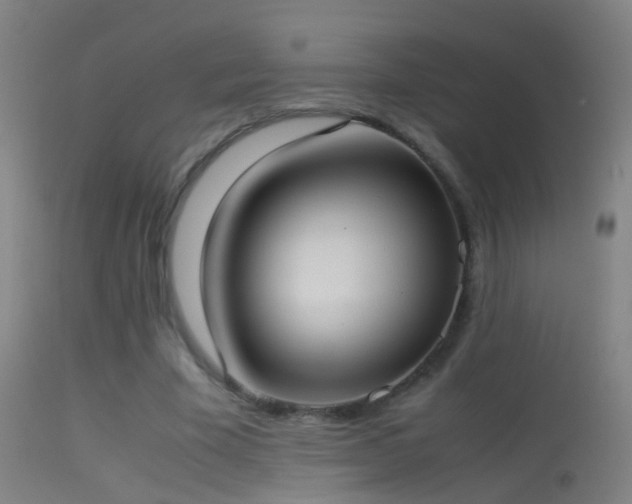 X0000114170585200910151639