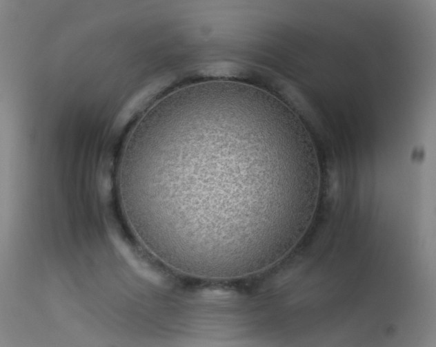 X0000114170586200910151639