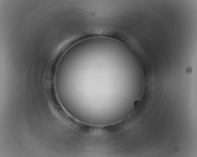 X0000114170587200910151639