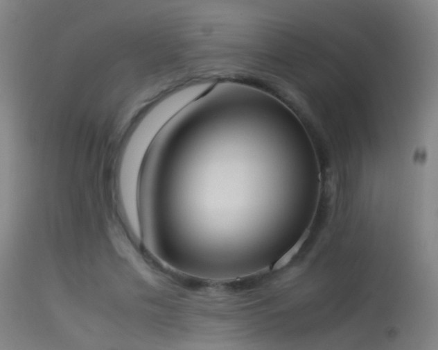 X0000114170589200910151639