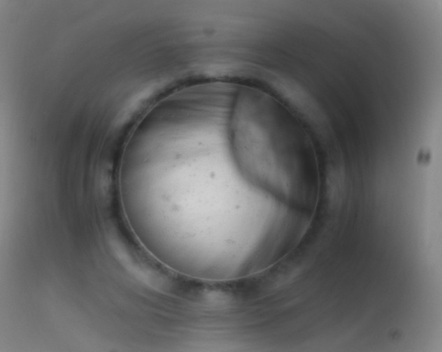 X0000114170592200910151639