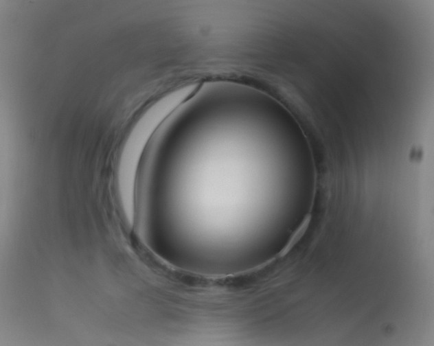 X0000114170593200910151639