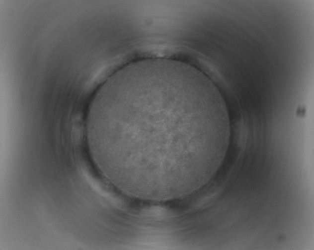 X0000114170594200910151639