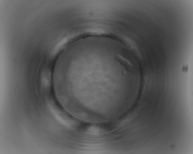 X0000114170596200910151639